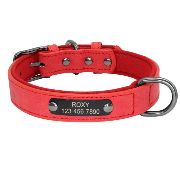 Personalized Engraved Pet Collar Personalized Engraved Pet Collar