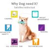 Pet Dog Molar Toothbrush Chew Toy Dental Care Stick for Dogs Pet Dog Molar Toothbrush Chew Toy Dental Care Stick for Dogs