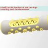 Pet Dog Molar Toothbrush Chew Toy Dental Care Stick for Dogs Pet Dog Molar Toothbrush Chew Toy Dental Care Stick for Dogs
