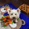 Pet Dog Snuffle Toy Pet Interactive Training Plush Pet Dog Snuffle Toy Pet Interactive Training Plush