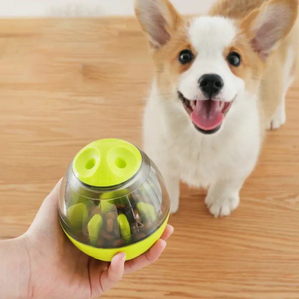 Pet Enrichment Food & Treat Toys Pet Enrichment Food & Treat Toys