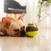 Pet Enrichment Food & Treat Toys Pet Enrichment Food & Treat Toys