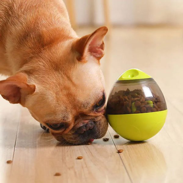 Pet Enrichment Food & Treat Toys Pet Enrichment Food & Treat Toys