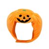 Pet Pumpkin Hat