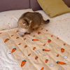 Pet Summer Ice Bed Pet Summer Ice Bed