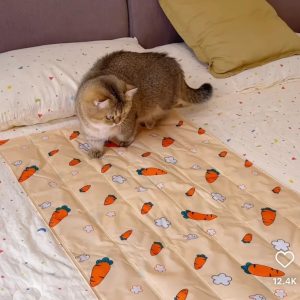 Pet Summer Ice Bed