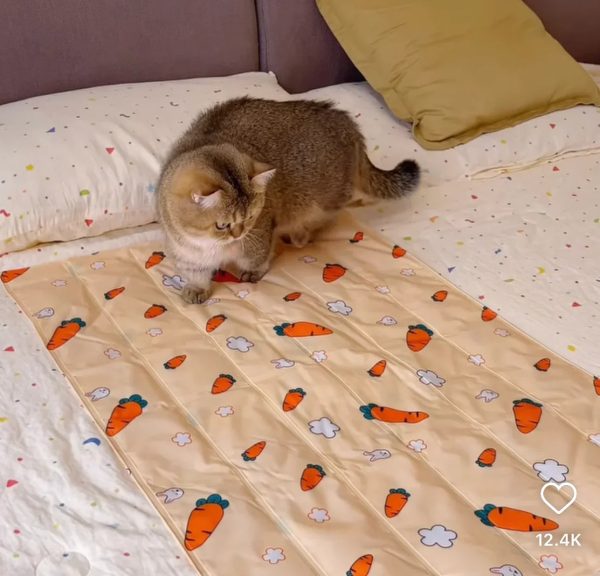 Pet Summer Ice Bed Pet Summer Ice Bed