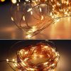 Photo Clip String Lights, 33Ft, 100 Led With Clear Clips