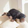 Plush Grey Platypus Pillow - Super Soft & Cuddly Toy for All Ages Plush Grey Platypus Pillow - Super Soft & Cuddly Toy for All Ages