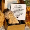 Pocket Worry Bear Plush with Encouragement Card Gift Box Pocket Worry Bear Plush with Encouragement Card Gift Box
