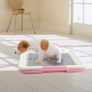 Portable Dog Training Toilet