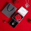 Preserved Rose Gift Box with Heart Necklace for Special Occasions Preserved Rose Gift Box with Heart Necklace for Special Occasions