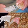 Professional Led Pet Nail Clipper Professional Led Pet Nail Clipper