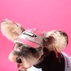 Pullover Dog Sweatshirt With Zipper Pouch Pullover Dog Sweatshirt With Zipper Pouch