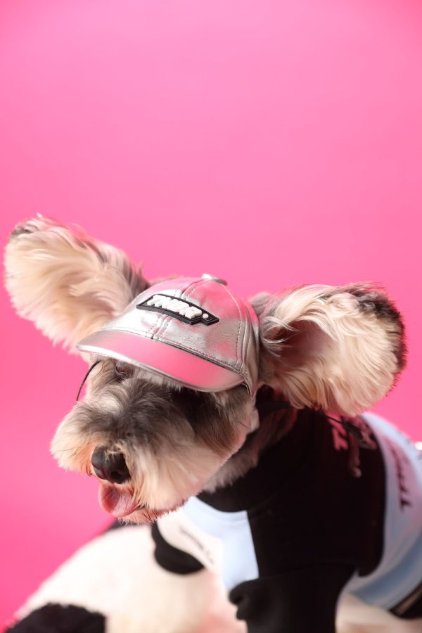 Pullover Dog Sweatshirt With Zipper Pouch Pullover Dog Sweatshirt With Zipper Pouch