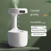 Rain Cloud Humidifier