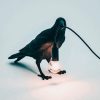 Raven Accent Lamp Raven Accent Lamp