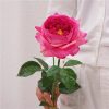 Real Touch Austin Latex Rose Bouquet Set of 5 Real Touch Austin Latex Rose Bouquet Set of 5