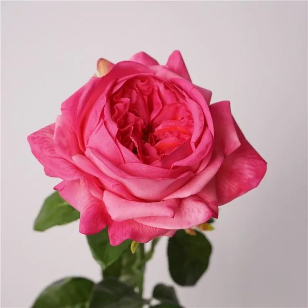 Real Touch Austin Latex Rose Bouquet Set of 5 Real Touch Austin Latex Rose Bouquet Set of 5