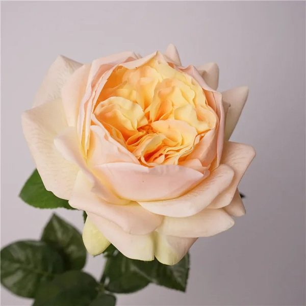 Real Touch Austin Latex Rose Bouquet Set of 5 Real Touch Austin Latex Rose Bouquet Set of 5