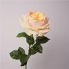 Real Touch Austin Latex Rose Bouquet Set of 5 Real Touch Austin Latex Rose Bouquet Set of 5