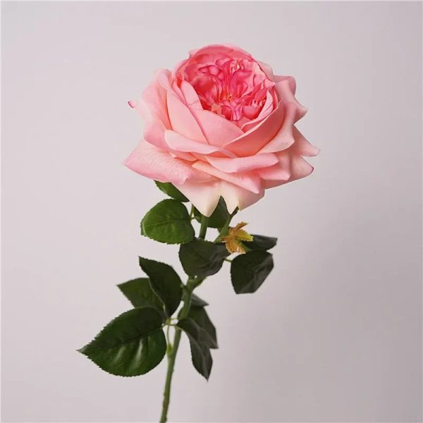 Real Touch Austin Latex Rose Bouquet Set of 5 Real Touch Austin Latex Rose Bouquet Set of 5