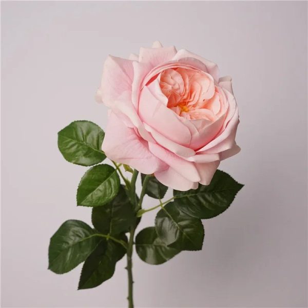 Real Touch Austin Latex Rose Bouquet Set of 5 Real Touch Austin Latex Rose Bouquet Set of 5
