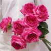 Real Touch Austin Latex Rose Bouquet Set of 5 Real Touch Austin Latex Rose Bouquet Set of 5