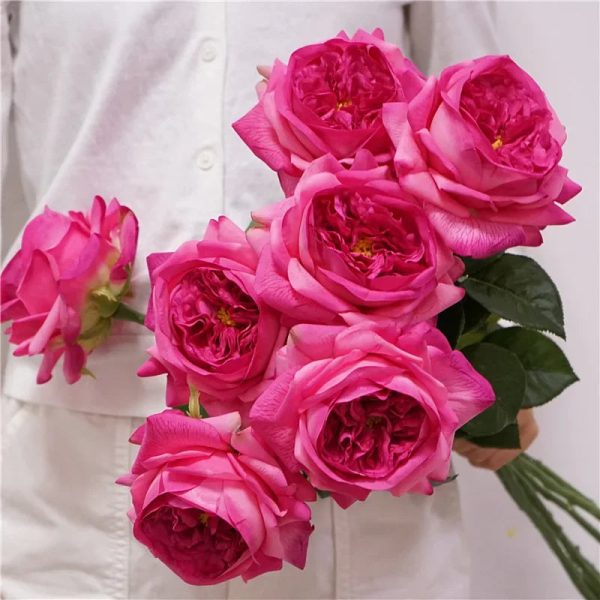 Real Touch Austin Latex Rose Bouquet Set of 5 Real Touch Austin Latex Rose Bouquet Set of 5