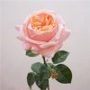 Real Touch Austin Latex Rose Bouquet Set of 5 Real Touch Austin Latex Rose Bouquet Set of 5