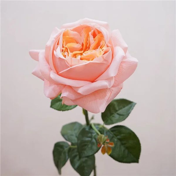 Real Touch Austin Latex Rose Bouquet Set of 5 Real Touch Austin Latex Rose Bouquet Set of 5