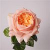 Real Touch Austin Latex Rose Bouquet Set of 5 Real Touch Austin Latex Rose Bouquet Set of 5