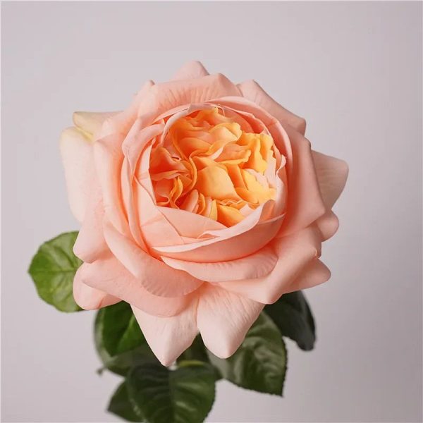 Real Touch Austin Latex Rose Bouquet Set of 5 Real Touch Austin Latex Rose Bouquet Set of 5