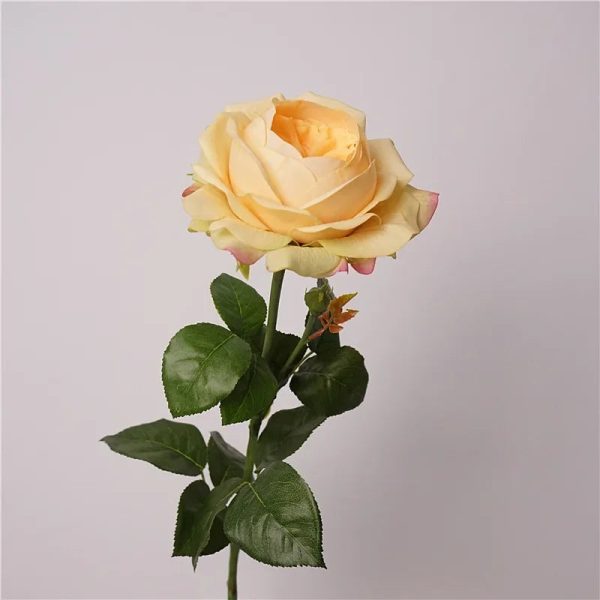 Real Touch Austin Latex Rose Bouquet Set of 5 Real Touch Austin Latex Rose Bouquet Set of 5