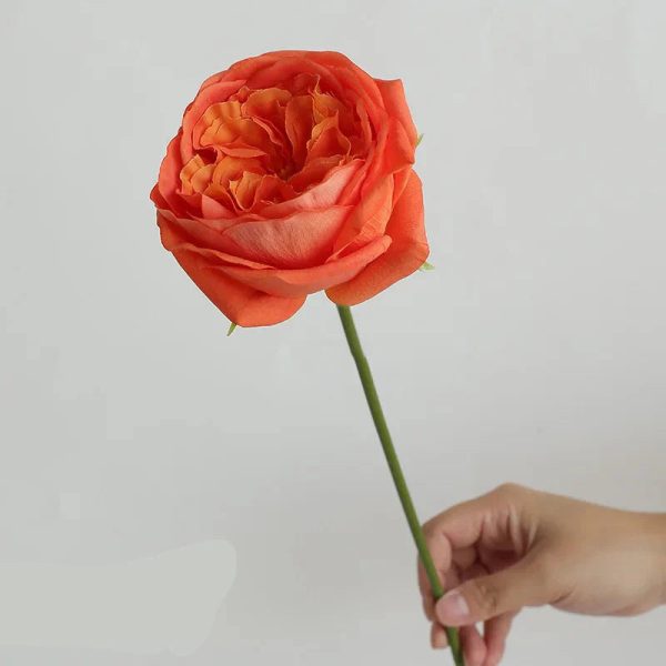 Real Touch Austin Rose Artificial Flowers Set of 7