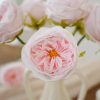 Real Touch Austin Rose Artificial Flowers Set of 7