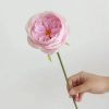 Real Touch Austin Rose Artificial Flowers Set of 7