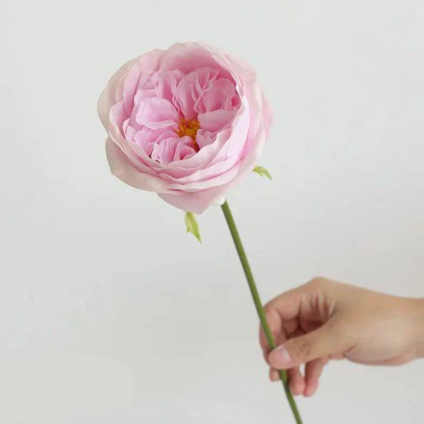 Real Touch Austin Rose Artificial Flowers Set of 7