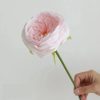 Real Touch Austin Rose Artificial Flowers Set of 7
