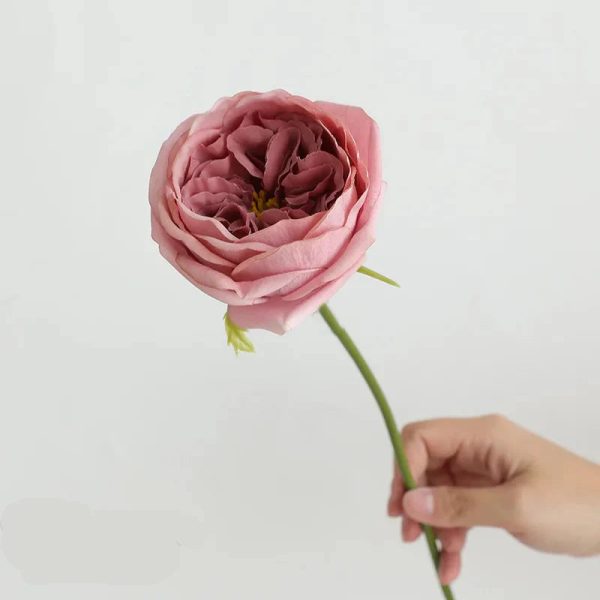 Real Touch Austin Rose Artificial Flowers Set of 7