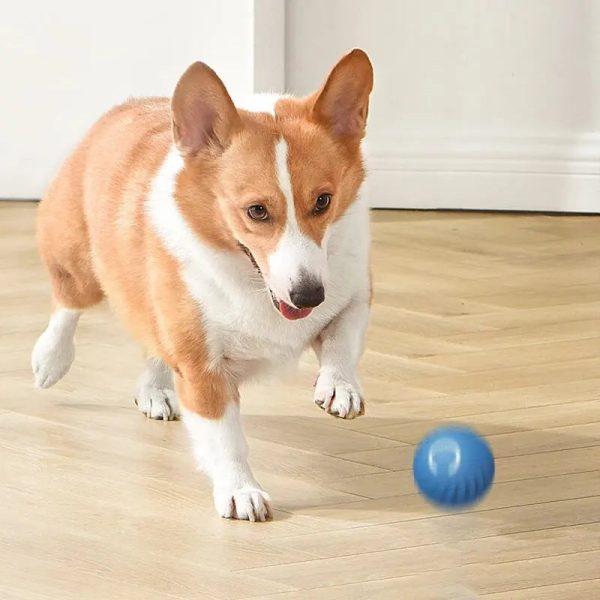 Rechargeable Intelligent Gravity Jump Ball for Dog Pets Rechargeable Intelligent Gravity Jump Ball for Dog Pets