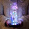 Red LED Rose in Glass Dome – Romantic Gift for Her Red LED Rose in Glass Dome – Romantic Gift for Her
