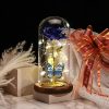 Red LED Rose in Glass Dome – Romantic Gift for Her Red LED Rose in Glass Dome – Romantic Gift for Her