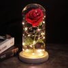 Red LED Rose in Glass Dome – Romantic Gift for Her Red LED Rose in Glass Dome – Romantic Gift for Her