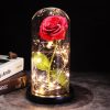Red LED Rose in Glass Dome – Romantic Gift for Her Red LED Rose in Glass Dome – Romantic Gift for Her