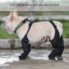 Reinforced Anti-Slip Dog Shoes Reinforced Anti-Slip Dog Shoes