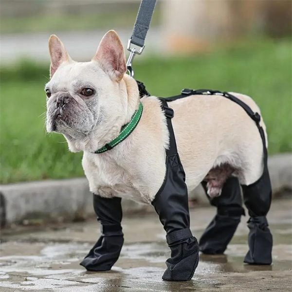 Reinforced Anti-Slip Dog Shoes Reinforced Anti-Slip Dog Shoes
