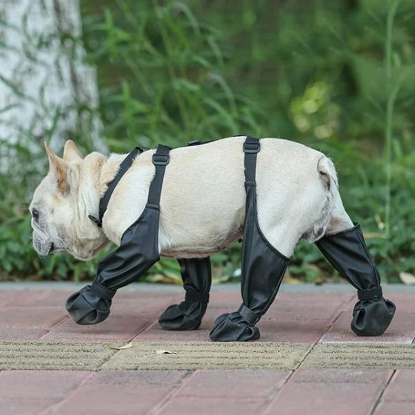 Reinforced Anti-Slip Dog Shoes Reinforced Anti-Slip Dog Shoes