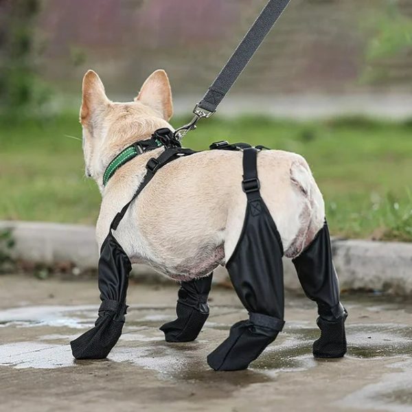 Reinforced Anti-Slip Dog Shoes Reinforced Anti-Slip Dog Shoes