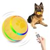 Remote Control Dog Ball - Interactive Toy for Dogs Remote Control Dog Ball - Interactive Toy for Dogs